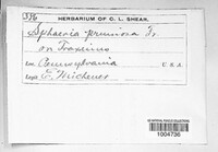 Image Associated With the Occurence
